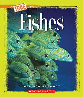 Fishes (a True Book: Animals) by Stewart, Melissa