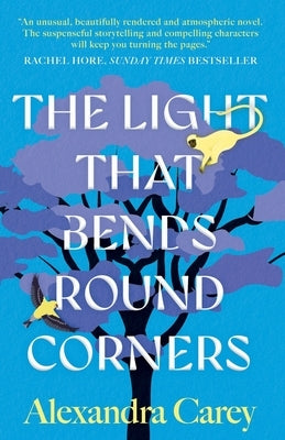 The Light That Bends Round Corners by Carey, Alexandra