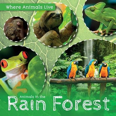 Animals in the Rain Forest by Wood, John