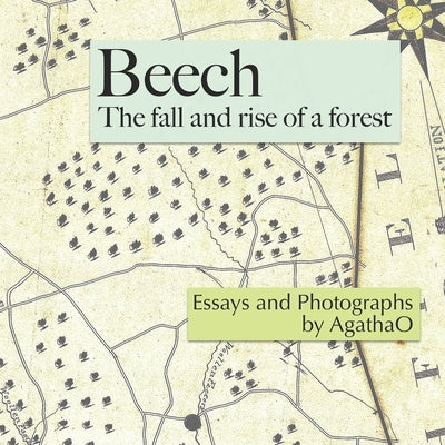Beech: The Fall and Rise of a Forest by Bouricius, Pleun Clara