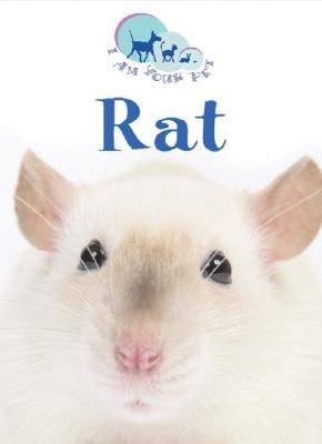 Rat by Rayner, Matthew