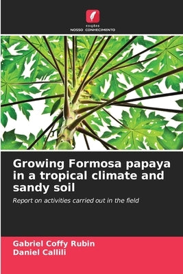 Growing Formosa papaya in a tropical climate and sandy soil by Coffy Rubin, Gabriel