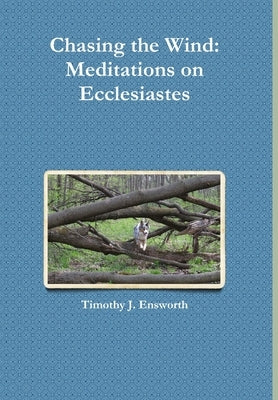 Chasing the Wind: Meditations on Ecclesiastes by Ensworth, Timothy J.