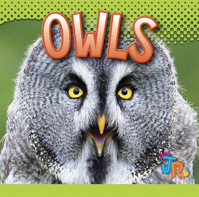 Owls by Storm, Marysa