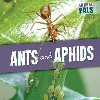 Ants and Aphids by Levy, Janey