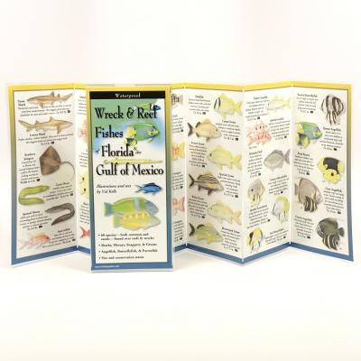 Wreck & Reef Fishes of Florida & Gulf of Mexico by Kells, Val