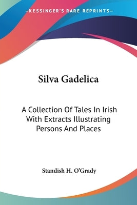 Silva Gadelica: A Collection Of Tales In Irish With Extracts Illustrating Persons And Places by O'Grady, Standish H.