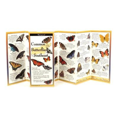 Common Butterflies of the Southeast by Cech, Rick