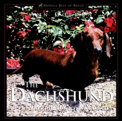 The Dachshund: A Dog for Town and Country by Gordon, Ann