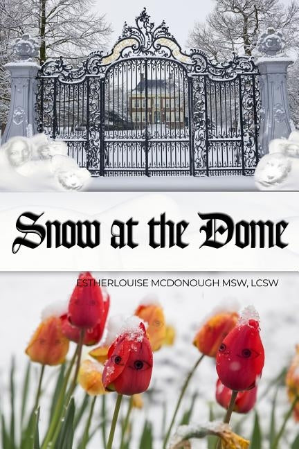 Snow at the Dome by McDonough Msw, Lcsw Estherlouise