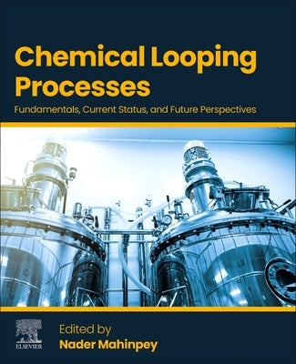 Chemical Looping Processes: Fundamentals, Current Status, and Future Perspectives by Mahinpey, Nader