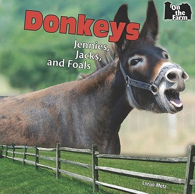 Donkeys by Metz, Lorijo