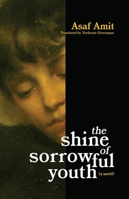 The shine of sorrowful youth by Amit, Asaf