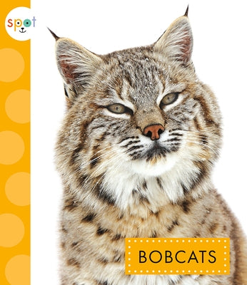 Bobcats by Thielges, Alissa