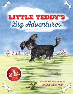 Little Teddy's Big Adventures by Wilkerson, Teresa