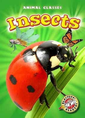 Insects by Schuetz, Kari