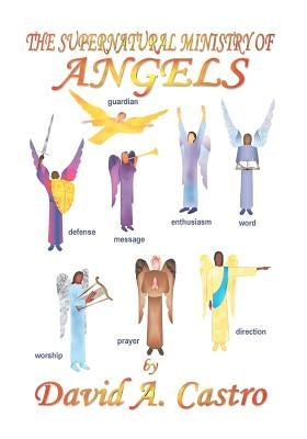 The Supernatural Ministry of Angels by Castro, David A.