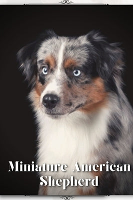 Miniature American Shepherd: Dog breed overview and guide by Pustova, Nina