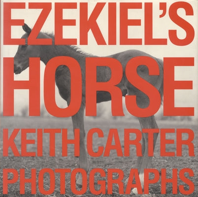 Ezekiel's Horse by Carter, Keith