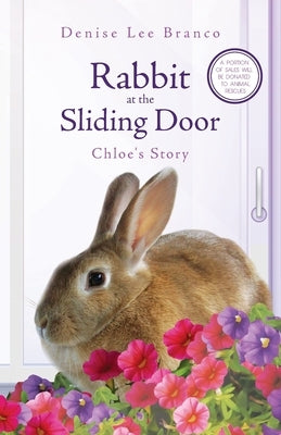 Rabbit at the Sliding Door: Chloe's Story by Branco, Denise Lee