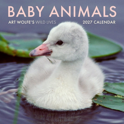 2027 Baby Animals Wall Calendar: Art Wolfe's Wild Lives by Wolfe, Art