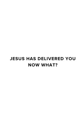 Jesus Has Delivered You (now what?) by Thayer, James M.