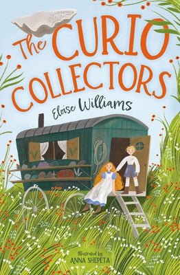 The Curio Collectors by Shepeta, Anna