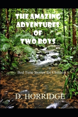 The Amazing Adventures of Two Boys: Bed Time Stories for Children by Horridge, D. M.