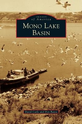 Mono Lake Basin by Carle, David