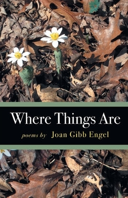 Where Things Are by Engel, Joan