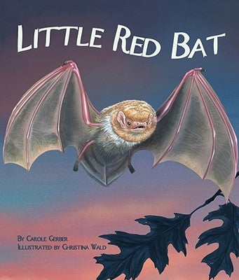 Little Red Bat by Gerber, Carole