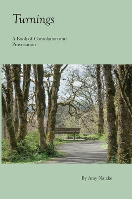 Turnings: A Book of Consolation and Provocation by Natzke, Amy