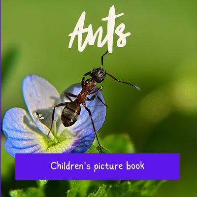 Ants: Children's picture book by Pernaut, Olivier