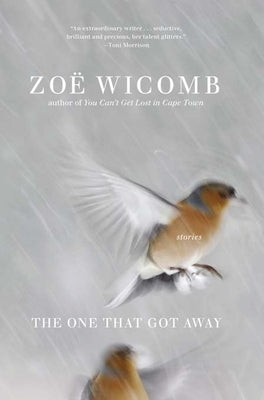 The One That Got Away: Short Stories by Wicomb, Zoe