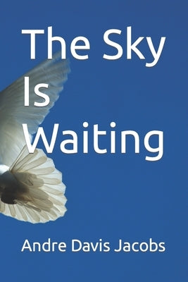 The Sky Is Waiting by Davis Jacobs, Andre