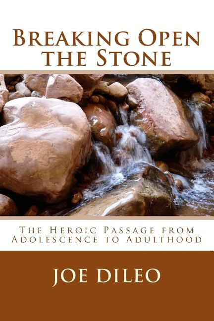 Breaking Open the Stone: The Heroic Passage from Adolescence to Adulthood by DiLeo, Joe