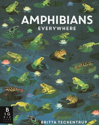 Amphibians Everywhere by de La Bedoyere, Camilla