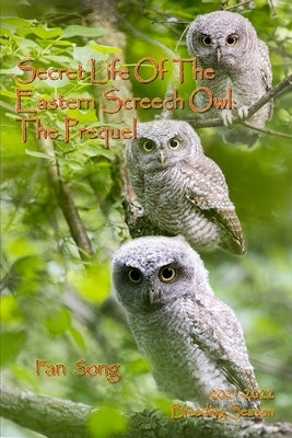 Secret Life of the Eastern Screech Owl - The Prequel: Breeding Season 2021-2022 by Marsh, Paul