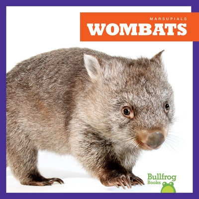 Wombats by Deniston, Natalie