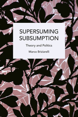 Supersuming Subsumption: Theory and Politics by Briziarelli, Marco