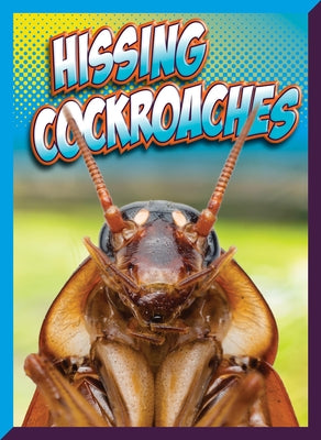 Hissing Cockroaches by Storm, Marysa