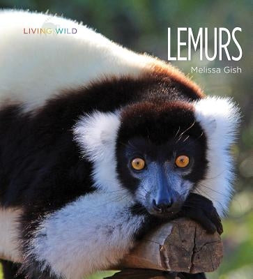 Lemurs by Gish, Melissa
