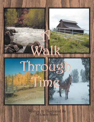 A Walk Through Time by Blunt, Michele