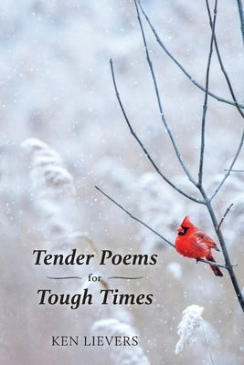Tender Poems for Tough Times by Lievers, Ken