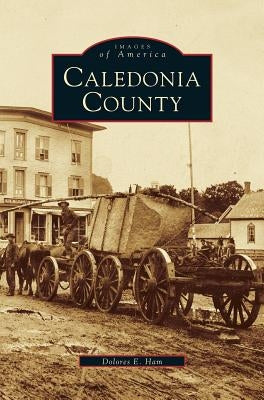 Caledonia County by Ham, Dolores E.