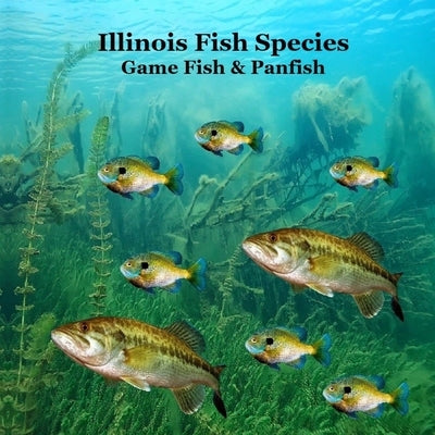 Illinois Game Fish and Panfish Species Kids Book: Great Book About the Different Types of Fish in Illinois by Marie, Kinsey