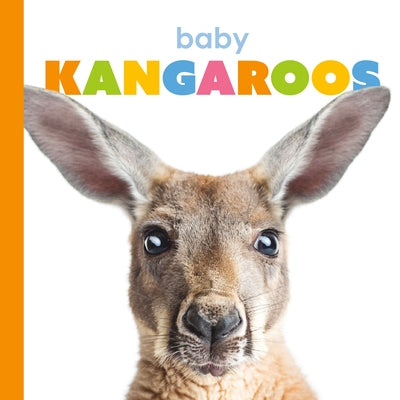 Baby Kangaroos by Riggs, Kate
