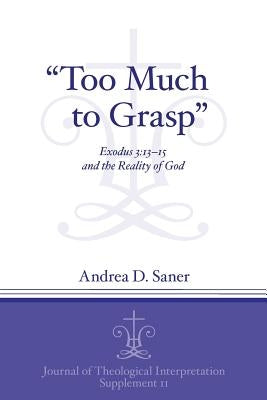 "Too Much to Grasp": Exodus 3:13-15 and the Reality of God by Saner, Andrea D.