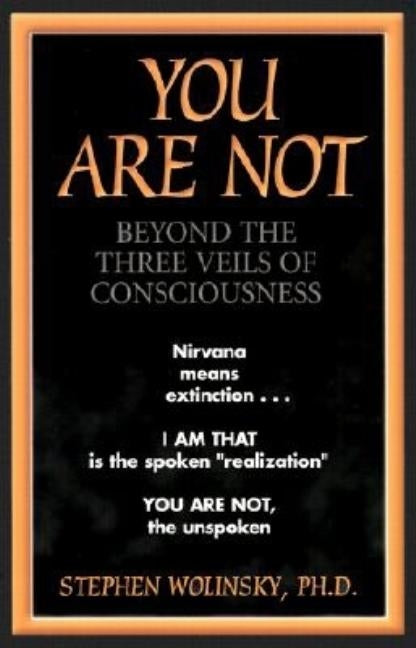 You Are Not: Beyond the Three Veils of Consciousness by Wolinsky, Stephen
