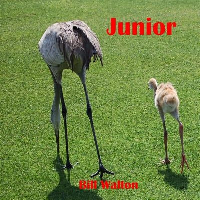 Junior by Walton, Bill